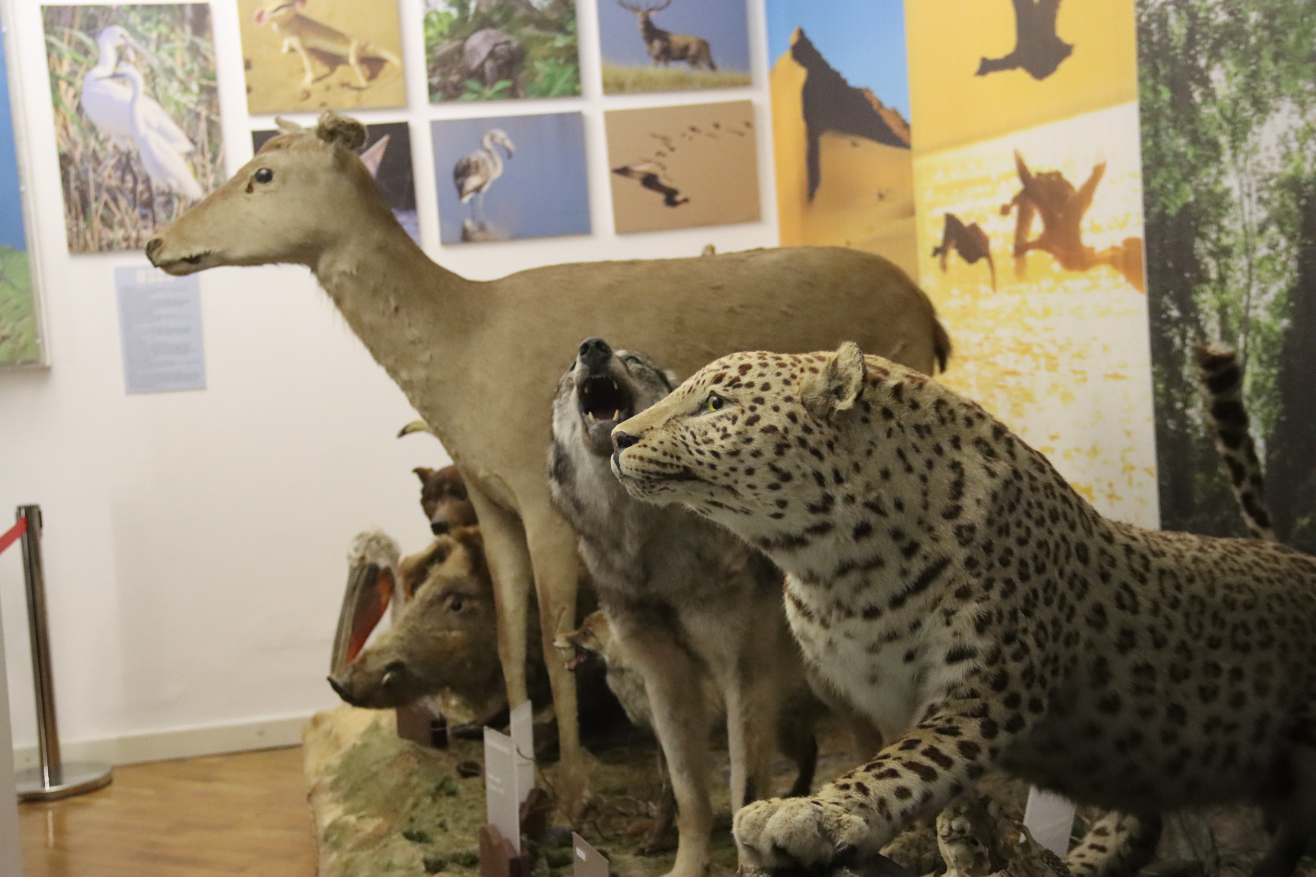 Знакомство с культурным наследием Дагестана. Экскурсия для соотечественниц из-за рубежа прошла в Махачкале